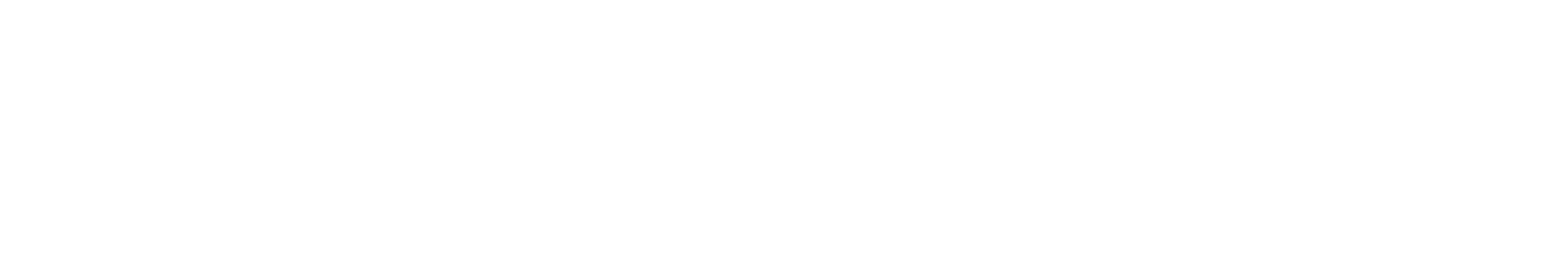 IMPAVID Holding