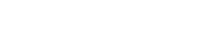 IMPAVID Holding