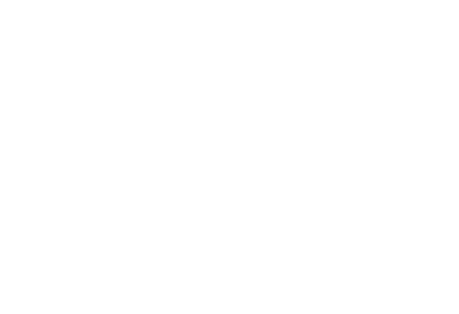 1001 Businessmen
