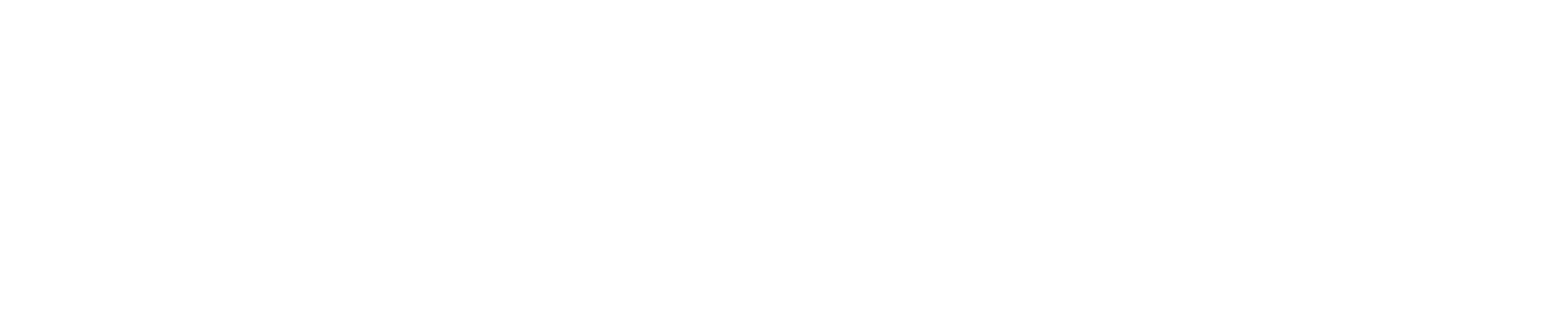 IMPAVID Holding